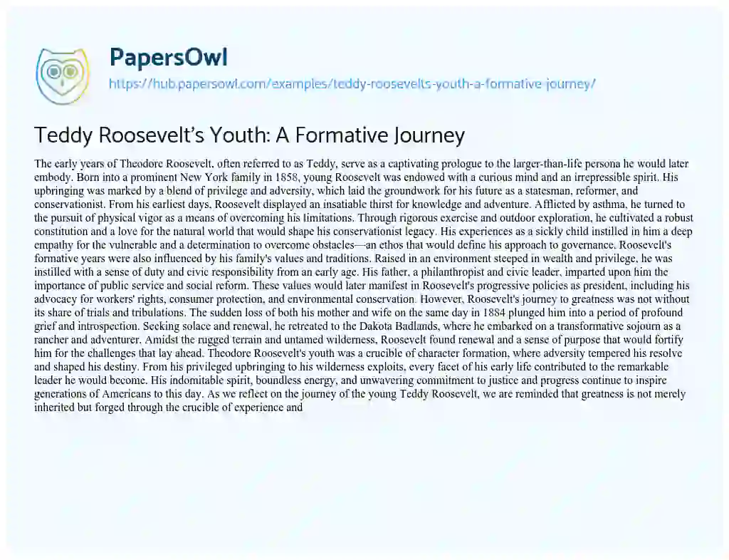 Essay on Teddy Roosevelt’s Youth: A Formative Journey