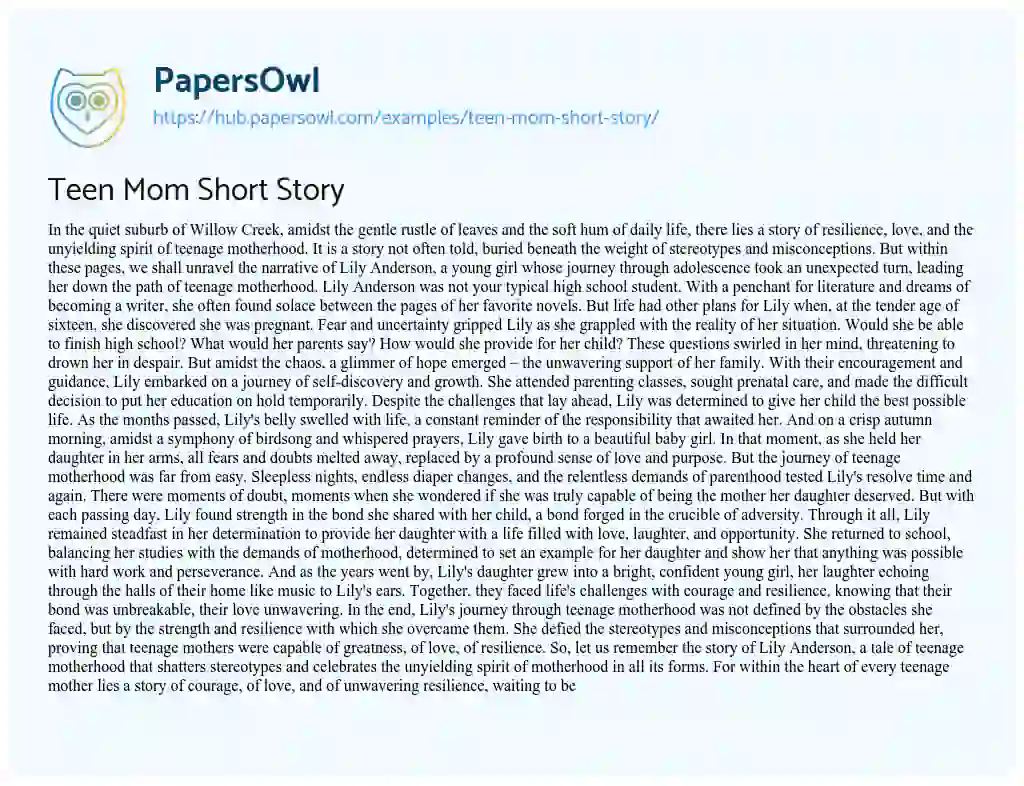 Essay on Teen Mom Short Story