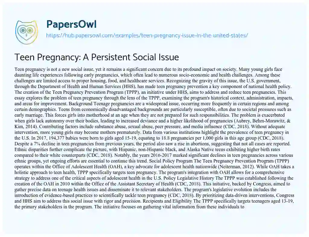 Essay on Teen Pregnancy: A Persistent Social Issue