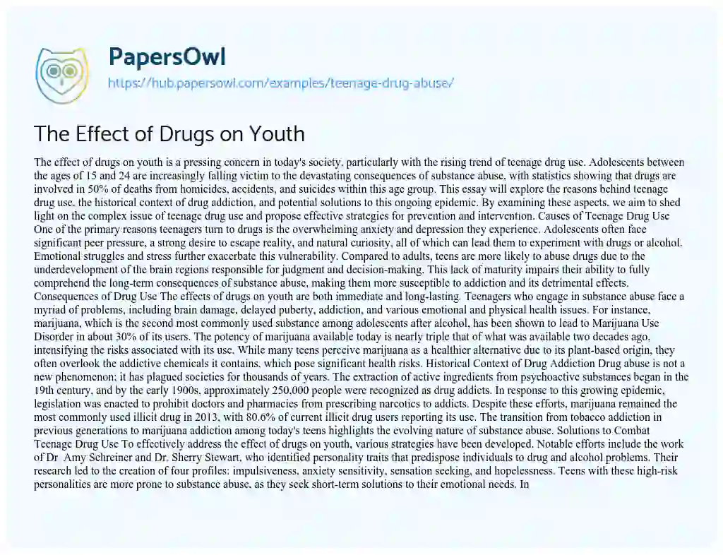 Essay on The Effect of Drugs on Youth