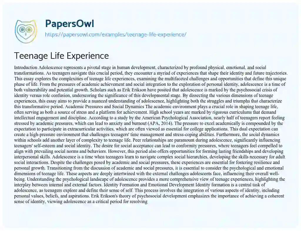Essay on Teenage Life Experience
