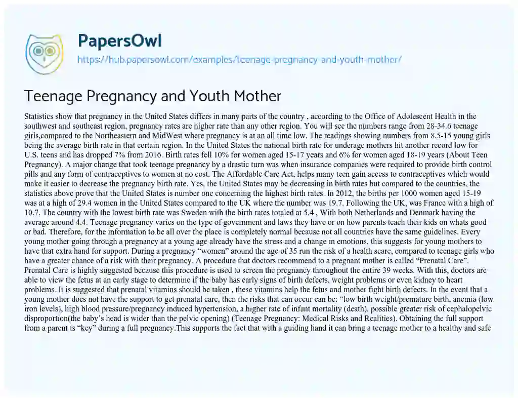 Essay on Teenage Pregnancy and Youth Mother