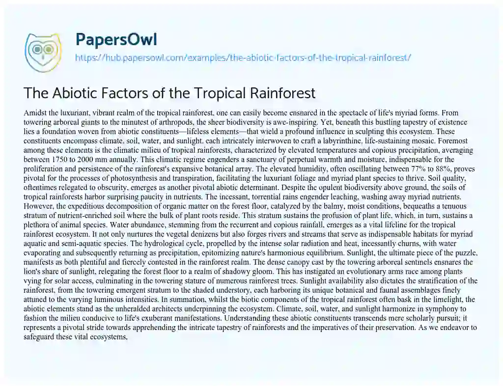 Essay on The Abiotic Factors of the Tropical Rainforest