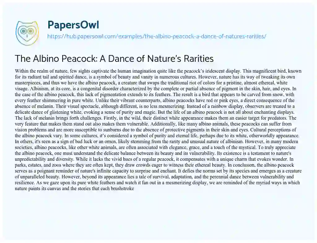 Essay on The Albino Peacock: A Dance of Nature’s Rarities