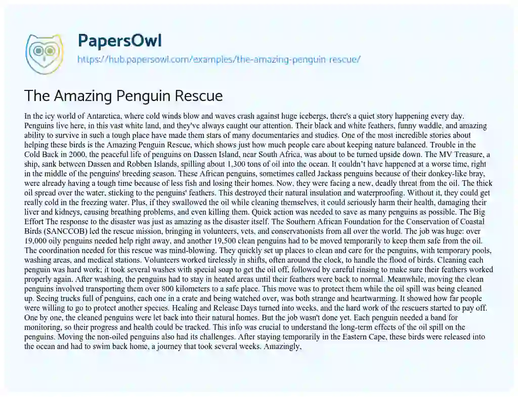 Essay on The Amazing Penguin Rescue