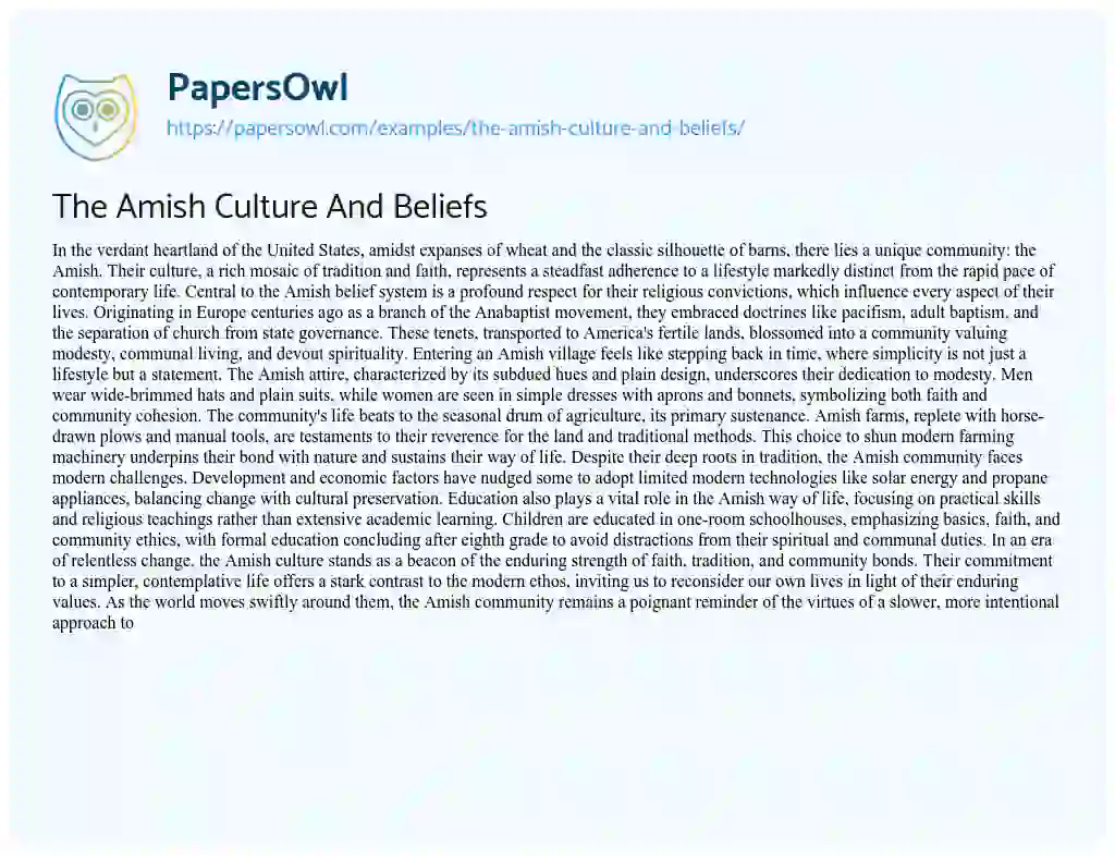 Essay on The Amish Culture And Beliefs