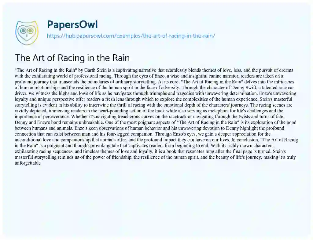 Essay on The Art of Racing in the Rain