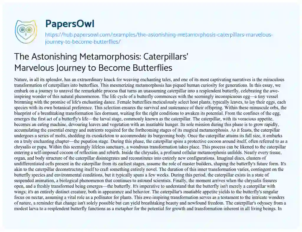 Essay on The Astonishing Metamorphosis: Caterpillars’ Marvelous Journey to Become Butterflies