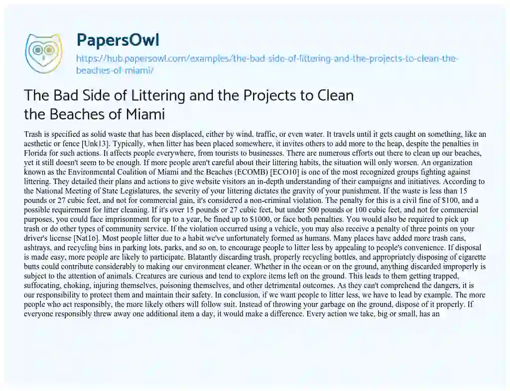 Essay on The Bad Side of Littering and the Projects to Clean the Beaches of Miami