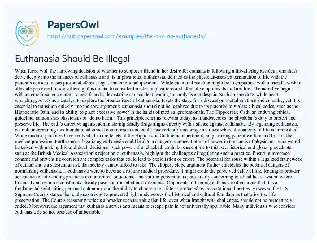 Essay on Euthanasia Should Be Illegal