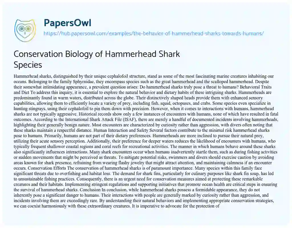 Essay on Conservation Biology of Hammerhead Shark Species