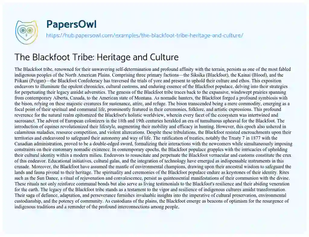 Essay on The Blackfoot Tribe: Heritage and Culture
