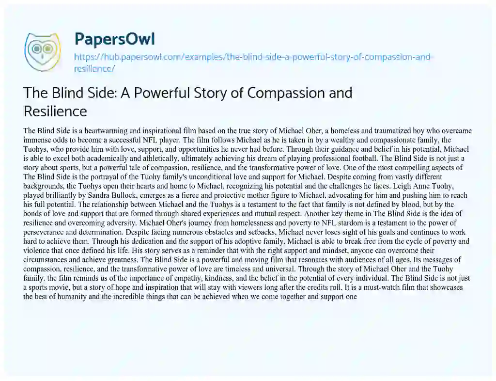 Essay on The Blind Side: A Powerful Story of Compassion and Resilience