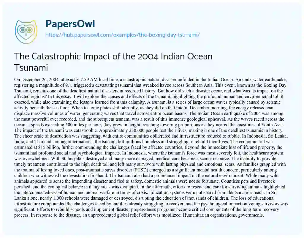 Essay on The Catastrophic Impact of the 2004 Indian Ocean Tsunami