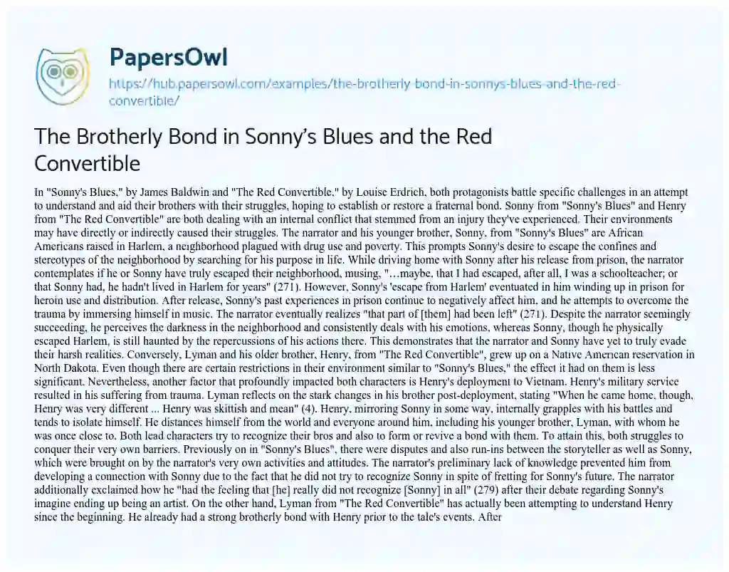 Essay on The Brotherly Bond in Sonny’s Blues and the Red Convertible