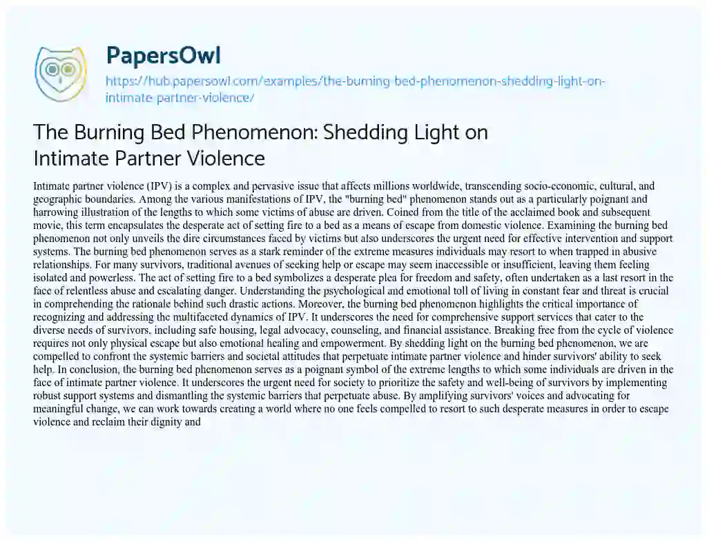 Essay on The Burning Bed Phenomenon: Shedding Light on Intimate Partner Violence