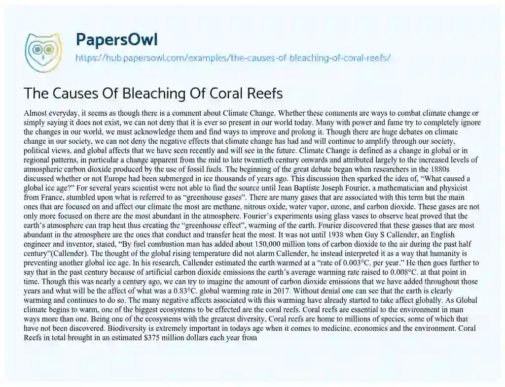 Essay on The Causes Of Bleaching Of Coral Reefs