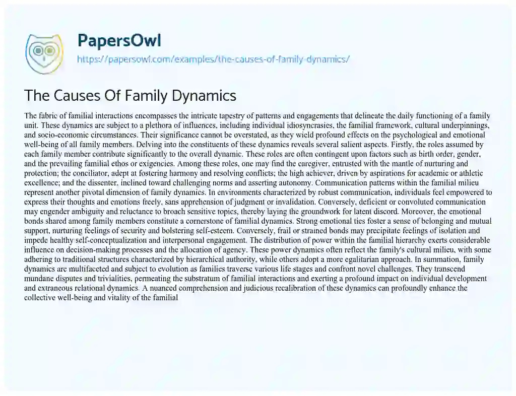 Essay on The Causes Of Family Dynamics