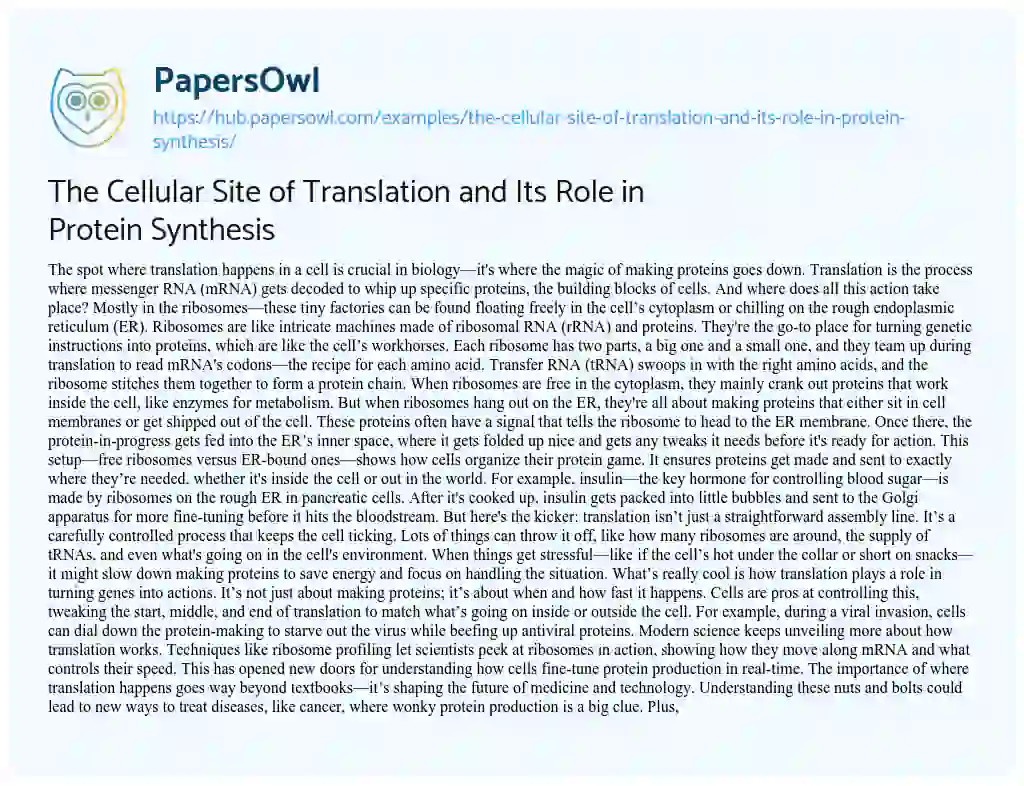 Essay on The Cellular Site of Translation and Its Role in Protein Synthesis