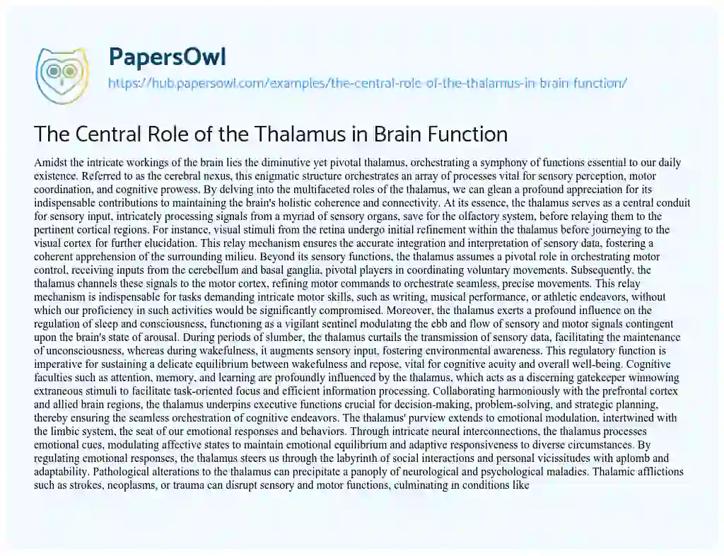 Essay on The Central Role of the Thalamus in Brain Function