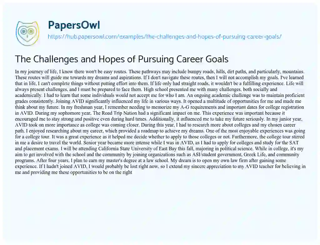 Essay on The Challenges and Hopes of Pursuing Career Goals
