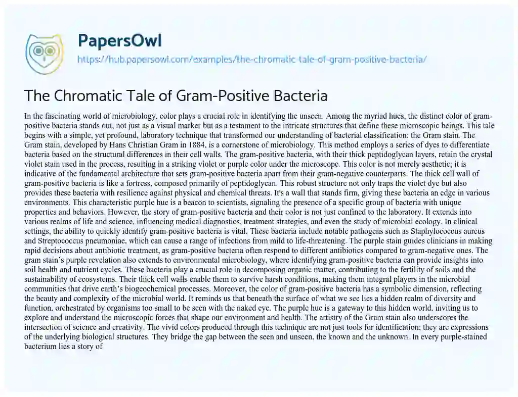 Essay on The Chromatic Tale of Gram-Positive Bacteria