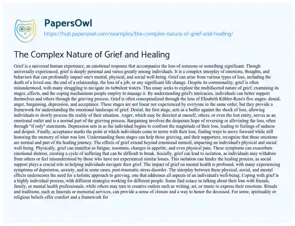 Essay on The Complex Nature of Grief and Healing