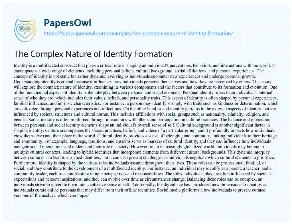 Essay on The Complex Nature of Identity Formation