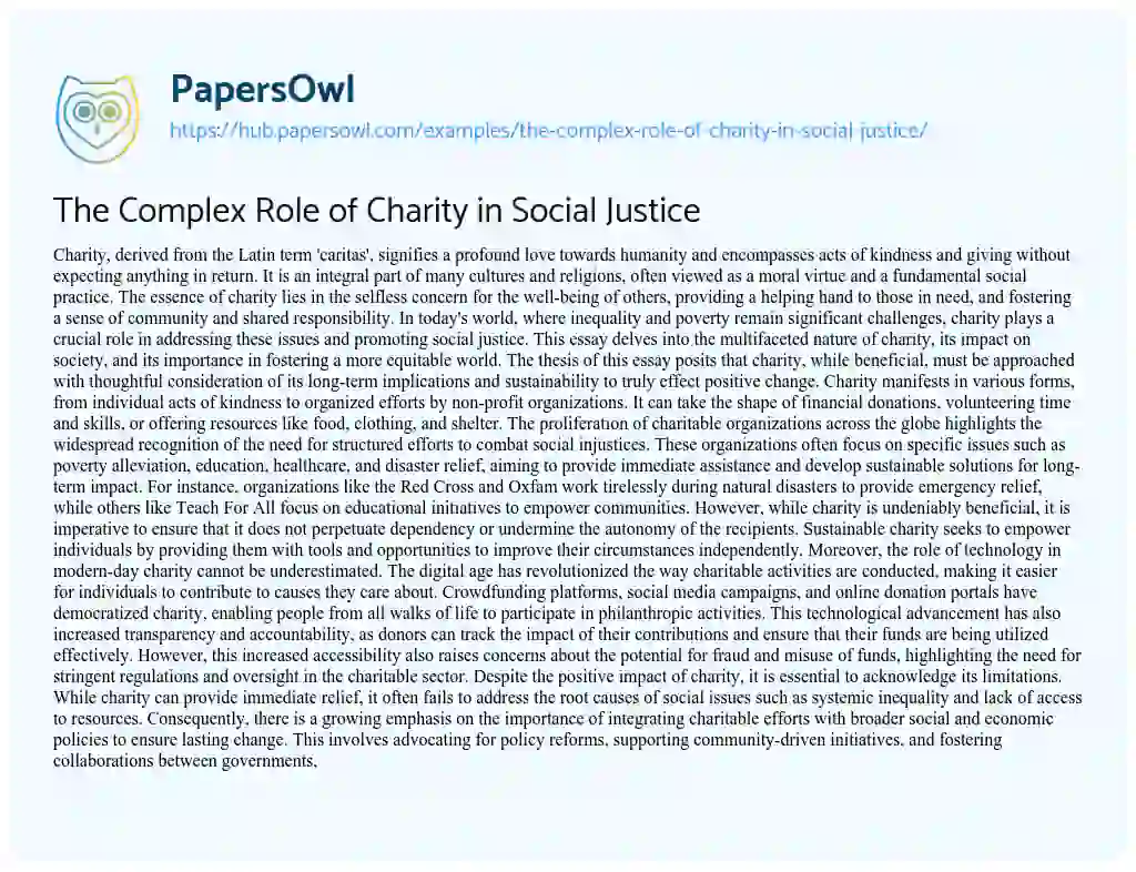 Essay on The Complex Role of Charity in Social Justice