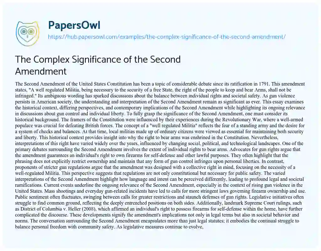 Essay on The Complex Significance of the Second Amendment