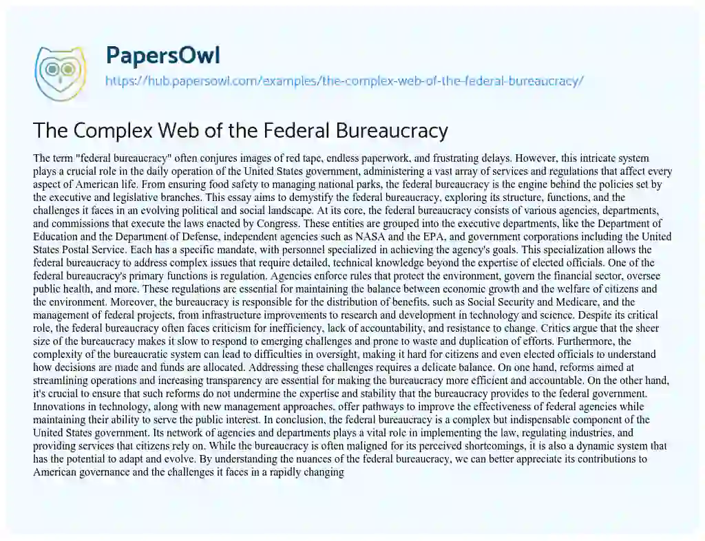 Essay on The Complex Web of the Federal Bureaucracy