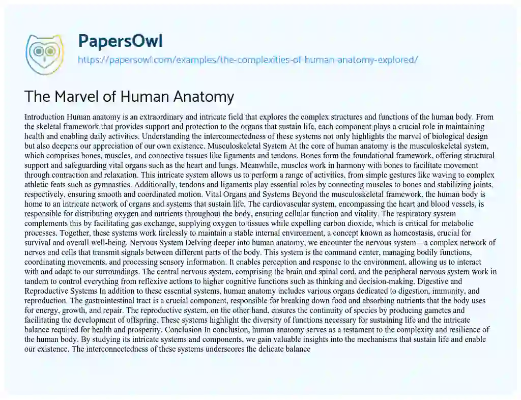 Essay on The Marvel of Human Anatomy