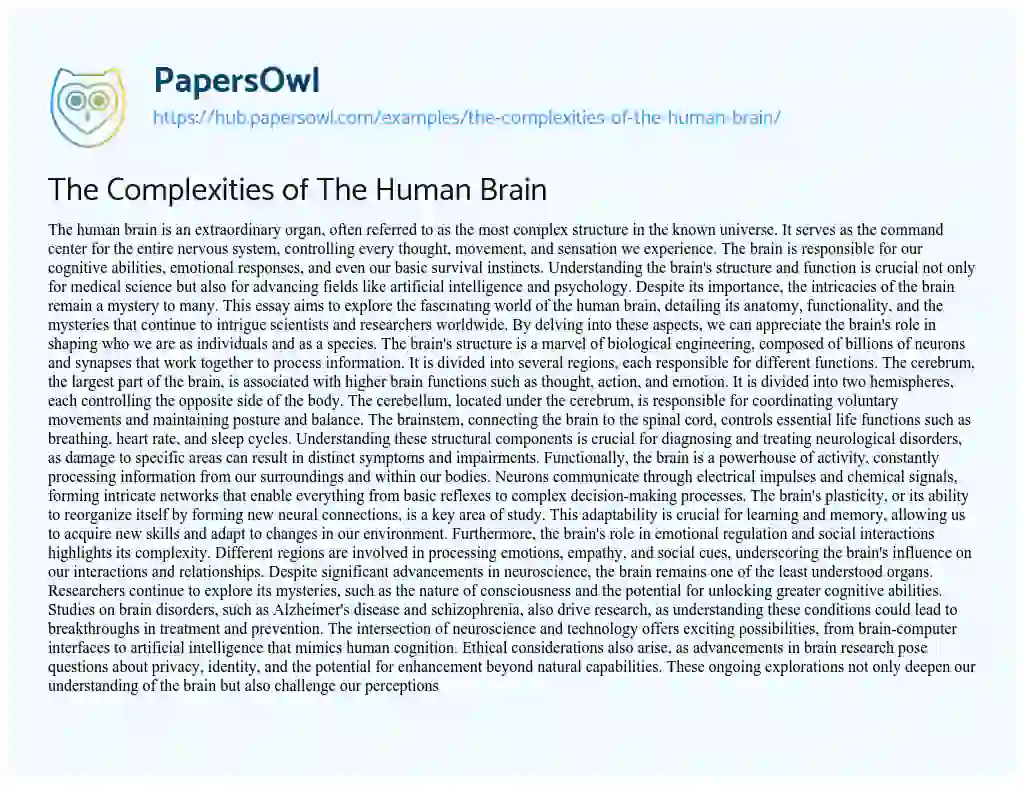 Essay on The Complexities of The Human Brain