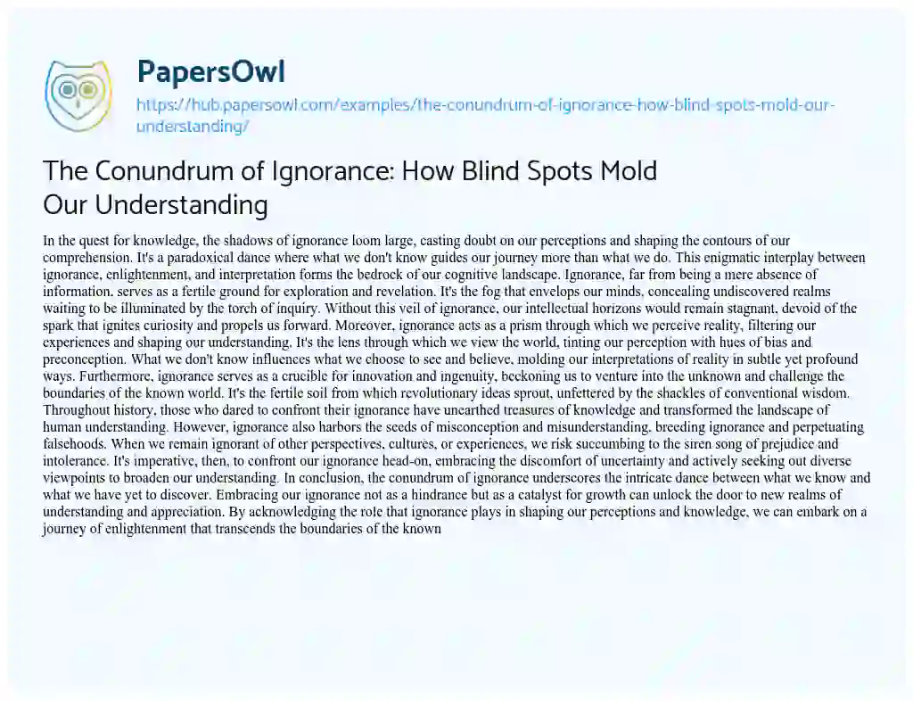 Essay on The Conundrum of Ignorance: How Blind Spots Mold Our Understanding