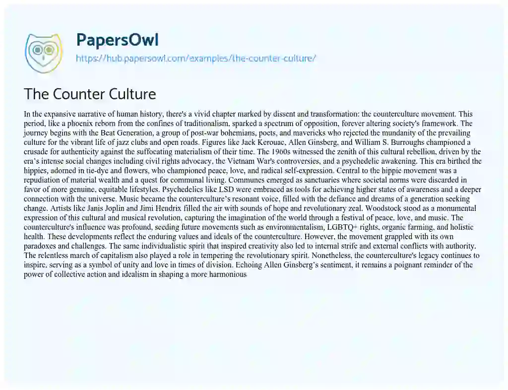 Essay on The Counter Culture