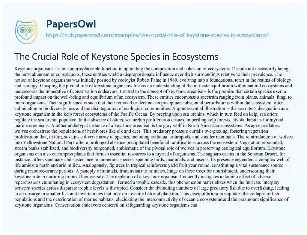 Essay on The Crucial Role of Keystone Species in Ecosystems