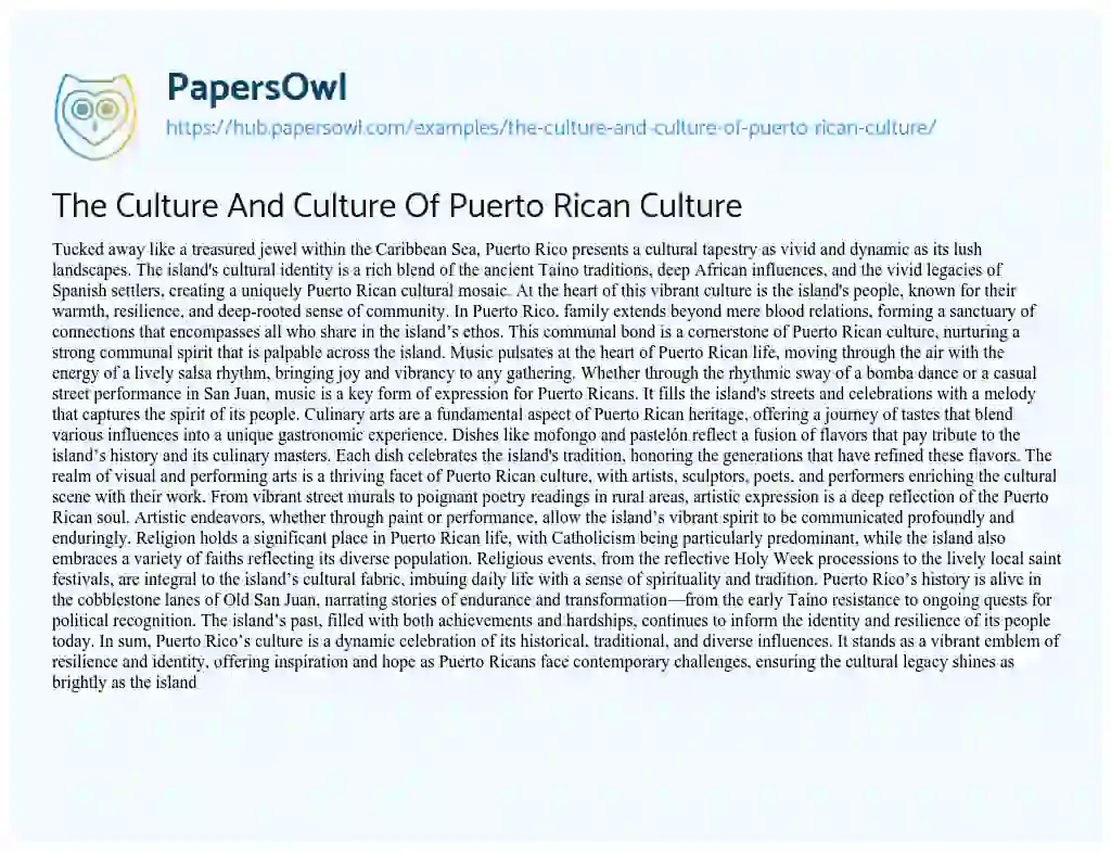 Essay on The Culture And Culture Of Puerto Rican Culture