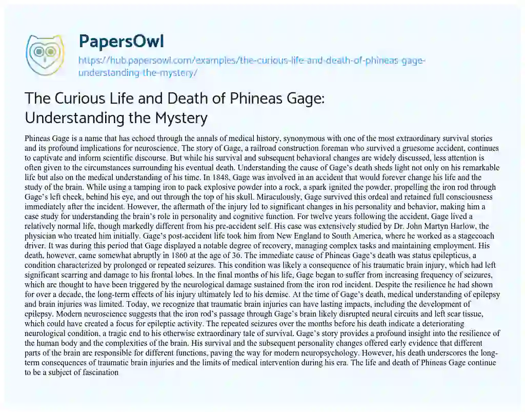 Essay on The Curious Life and Death of Phineas Gage: Understanding the Mystery