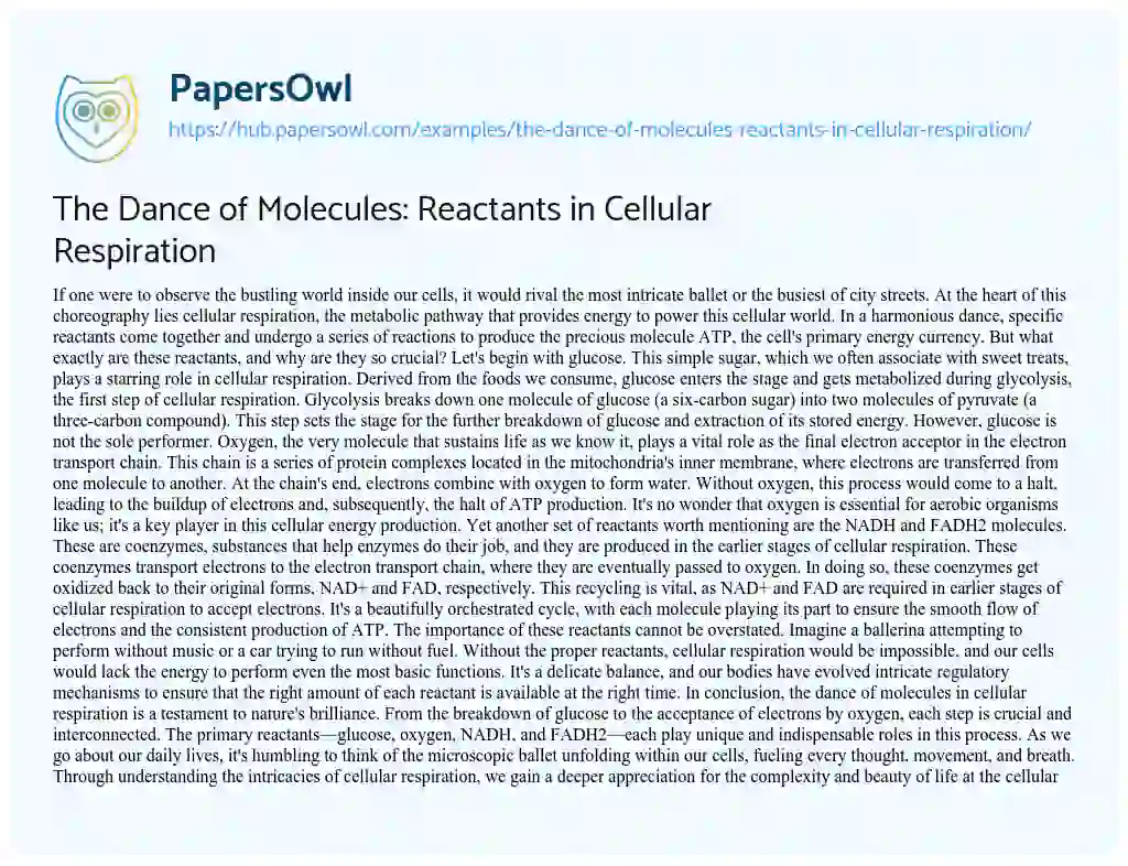 Essay on The Dance of Molecules: Reactants in Cellular Respiration