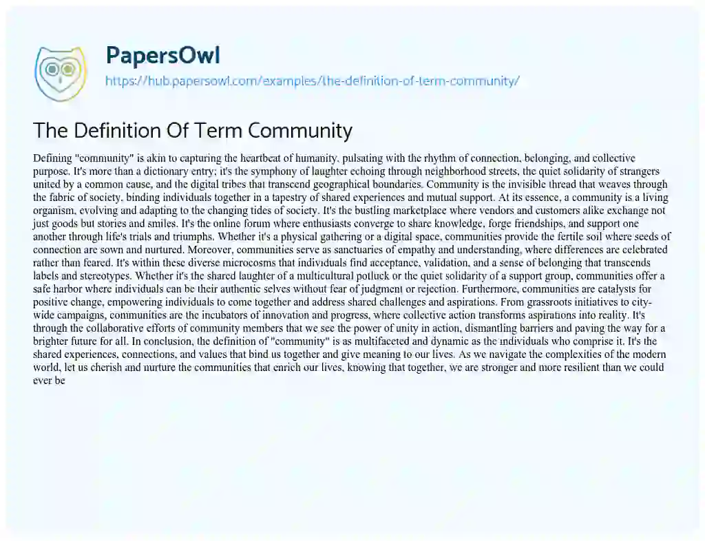 Essay on The Definition Of Term Community