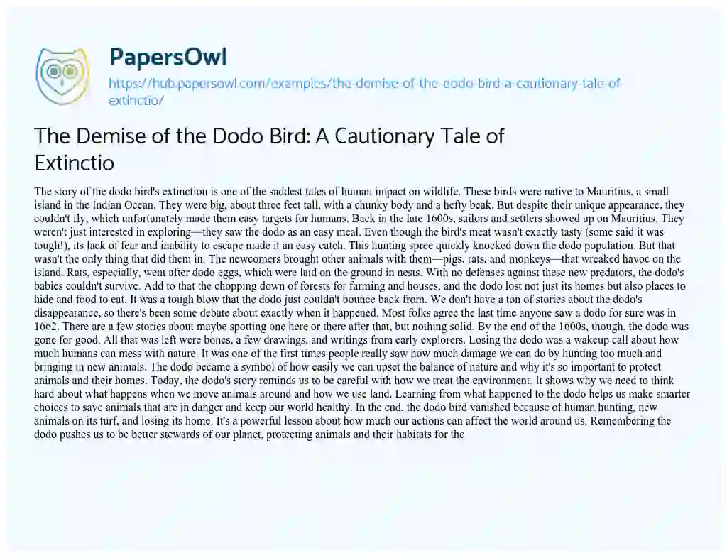 Essay on The Demise of the Dodo Bird: A Cautionary Tale of Extinctio