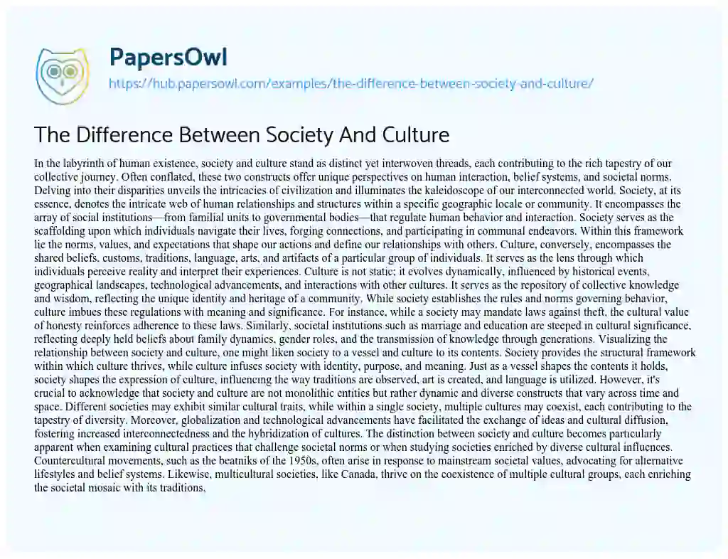 Essay on The Difference Between Society And Culture