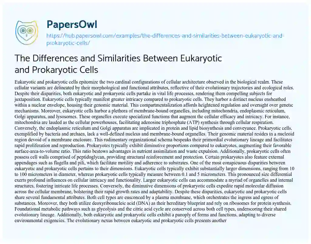 Essay on The Differences and Similarities Between Eukaryotic and Prokaryotic Cells