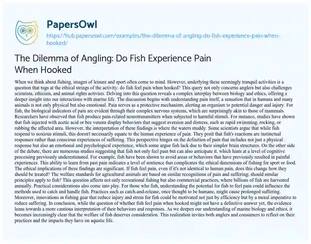 Essay on The Dilemma of Angling: Do Fish Experience Pain When Hooked