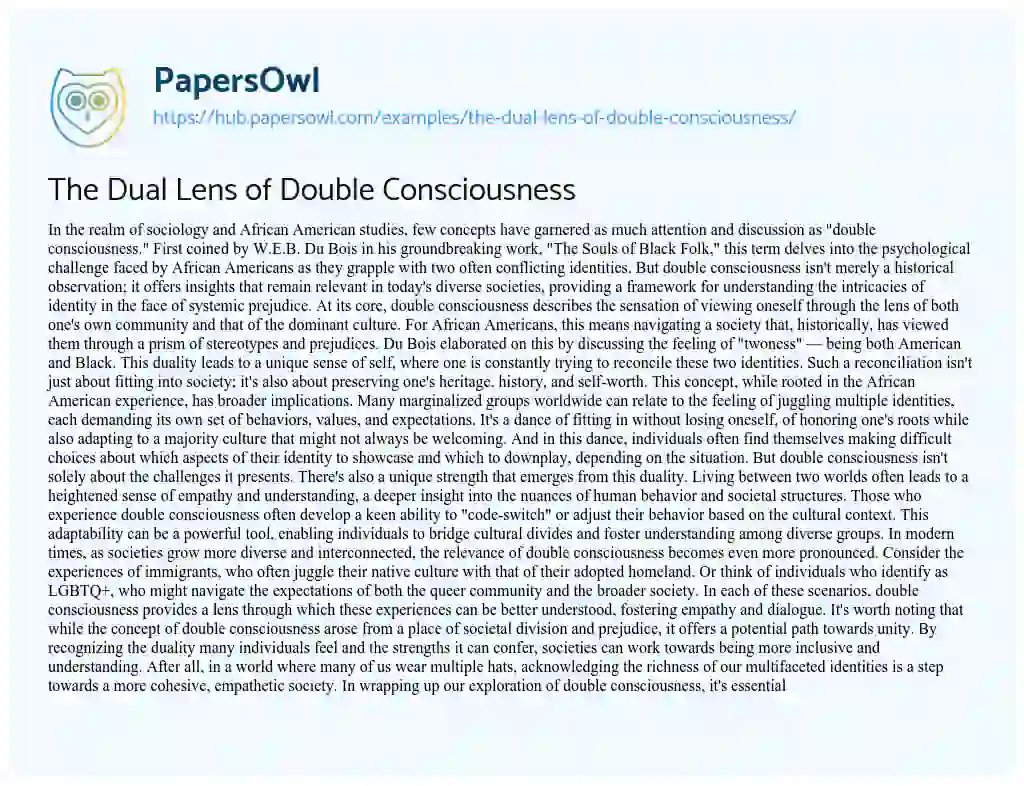 Essay on The Dual Lens of Double Consciousness
