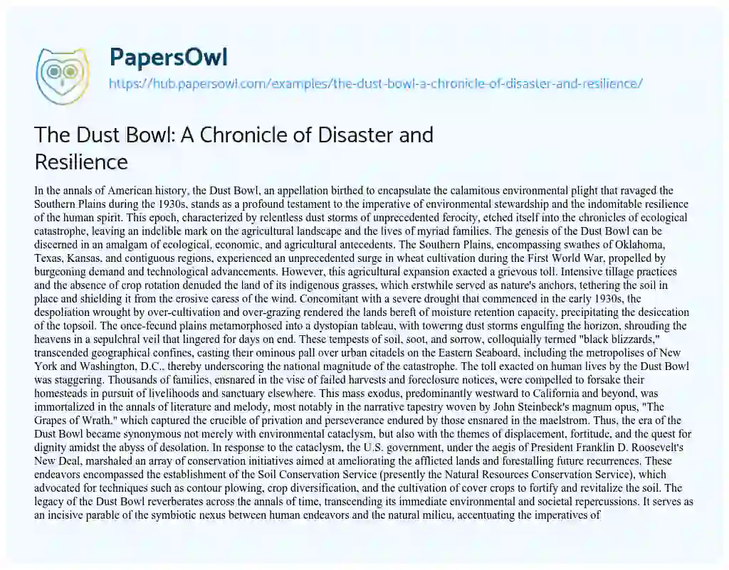 Essay on The Dust Bowl: A Chronicle of Disaster and Resilience