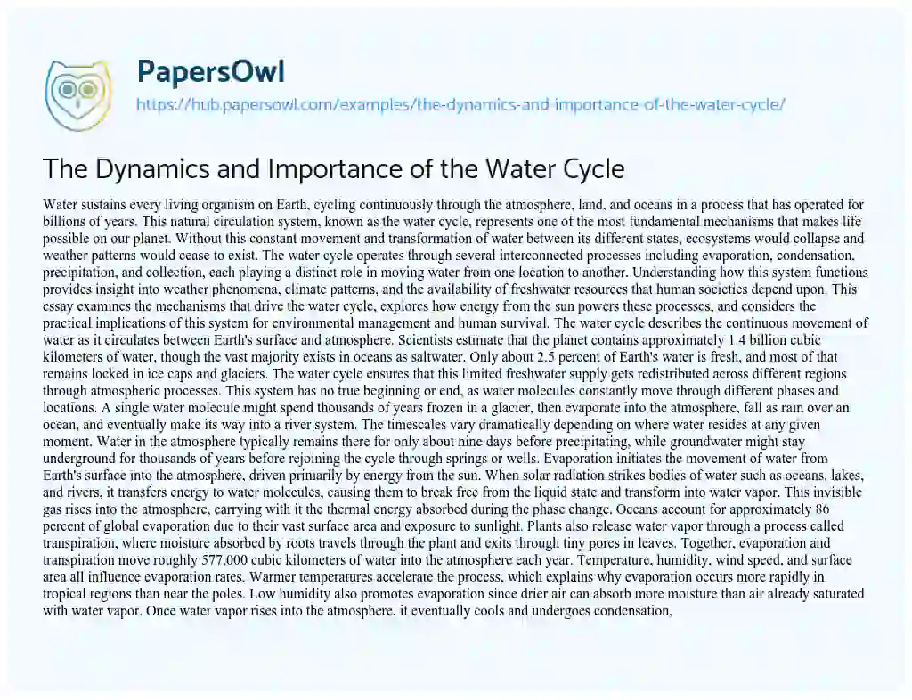 Essay on The Dynamics and Importance of the Water Cycle