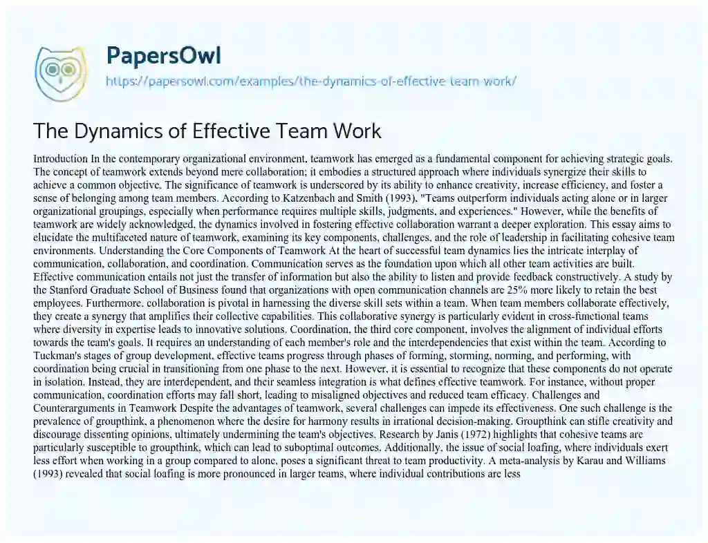 Essay on The Dynamics of Effective Team Work