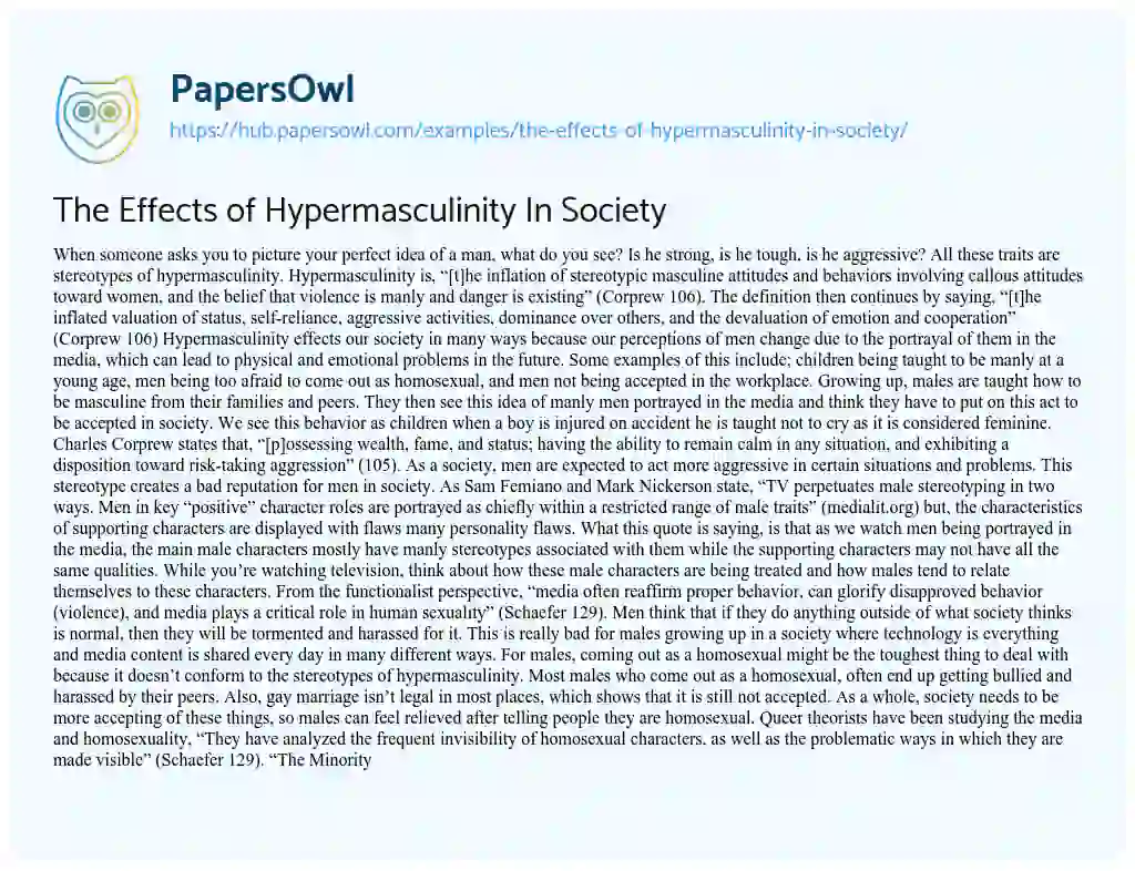 Essay on The Effects of Hypermasculinity In Society