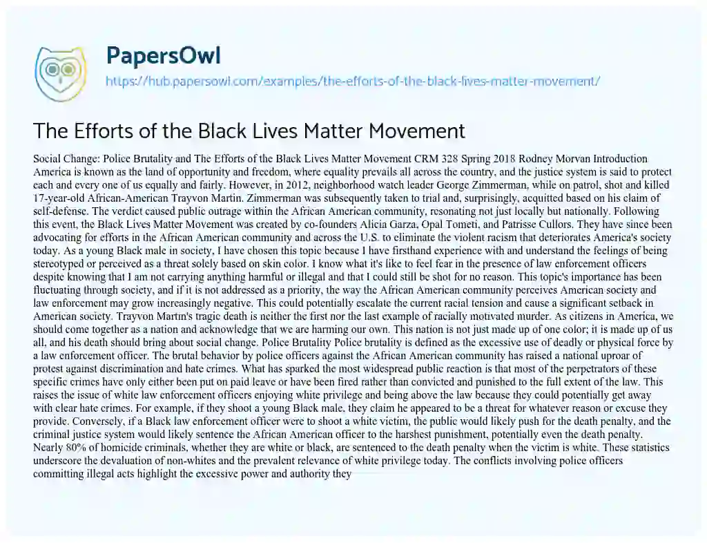 Essay on The Efforts of the Black Lives Matter Movement